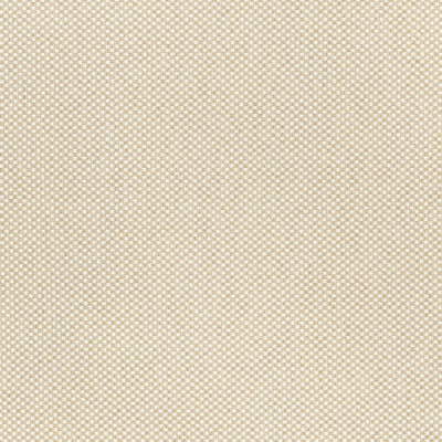 OLIN - Sahara