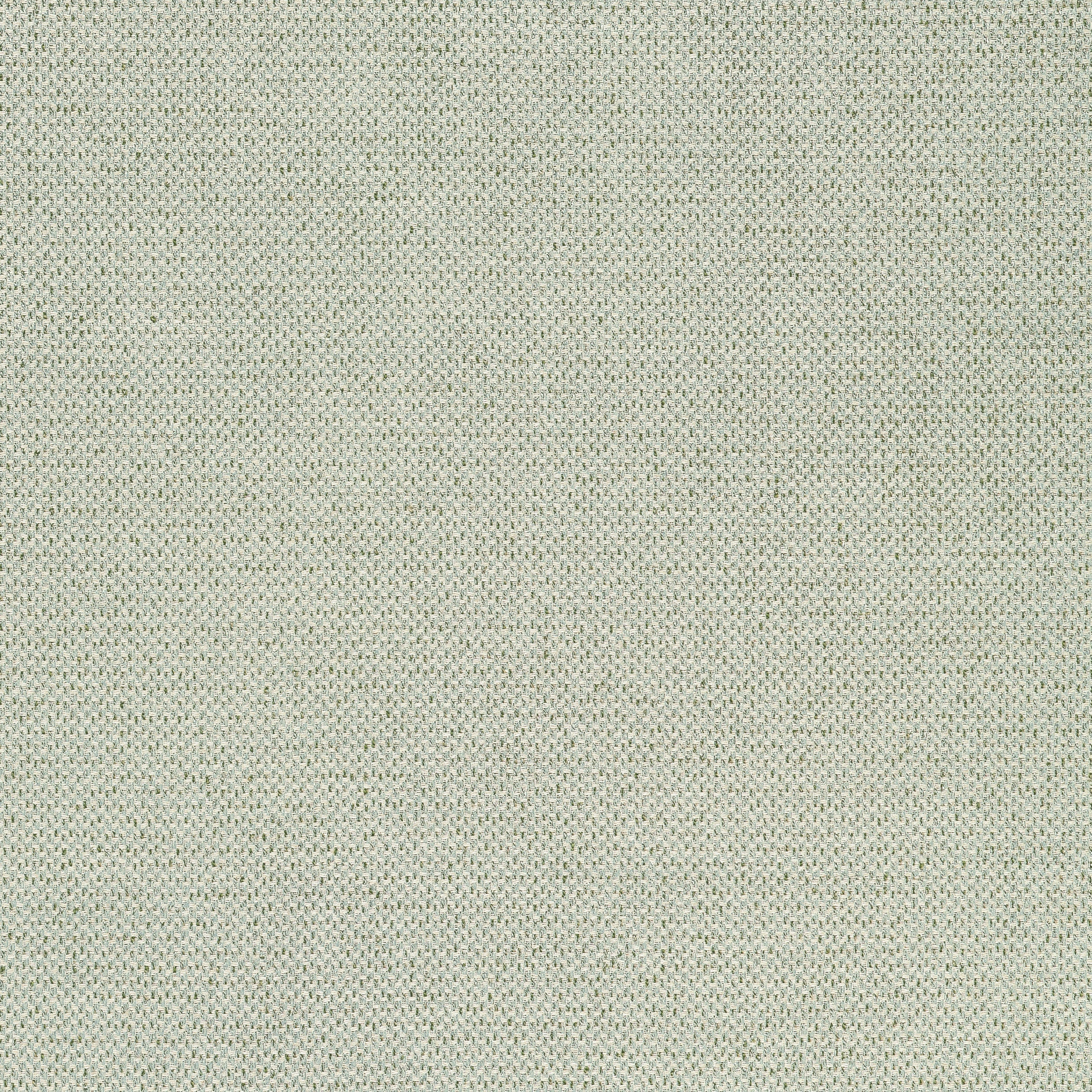 BIZETTE - Moss