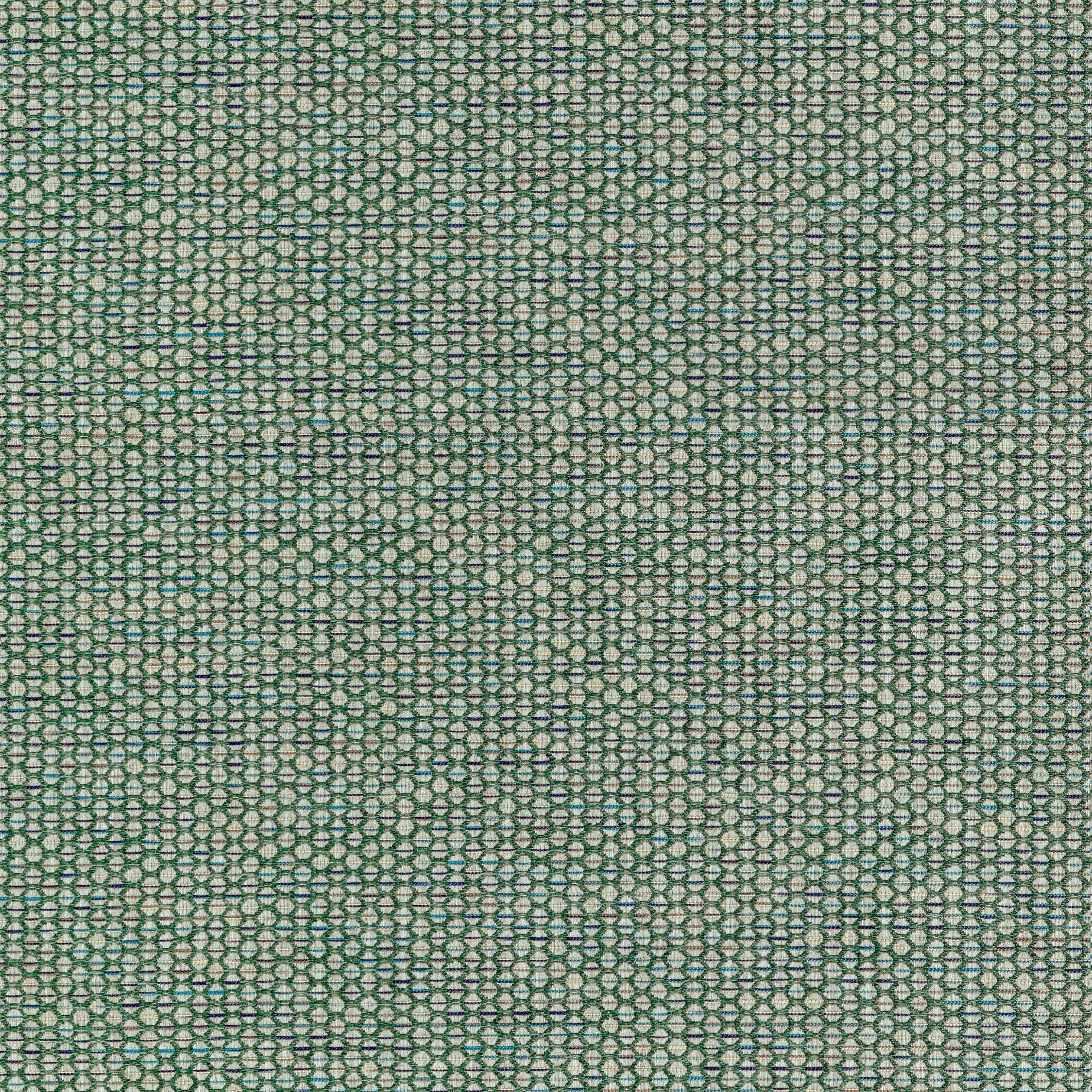 ENDICOTT - Pine