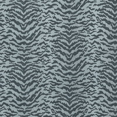 AJA - Shadow