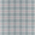 PERCIVAL PLAID - Mineral
