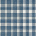 PERCIVAL PLAID - True Blue