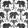 ELEPHANT VELVET - Black
