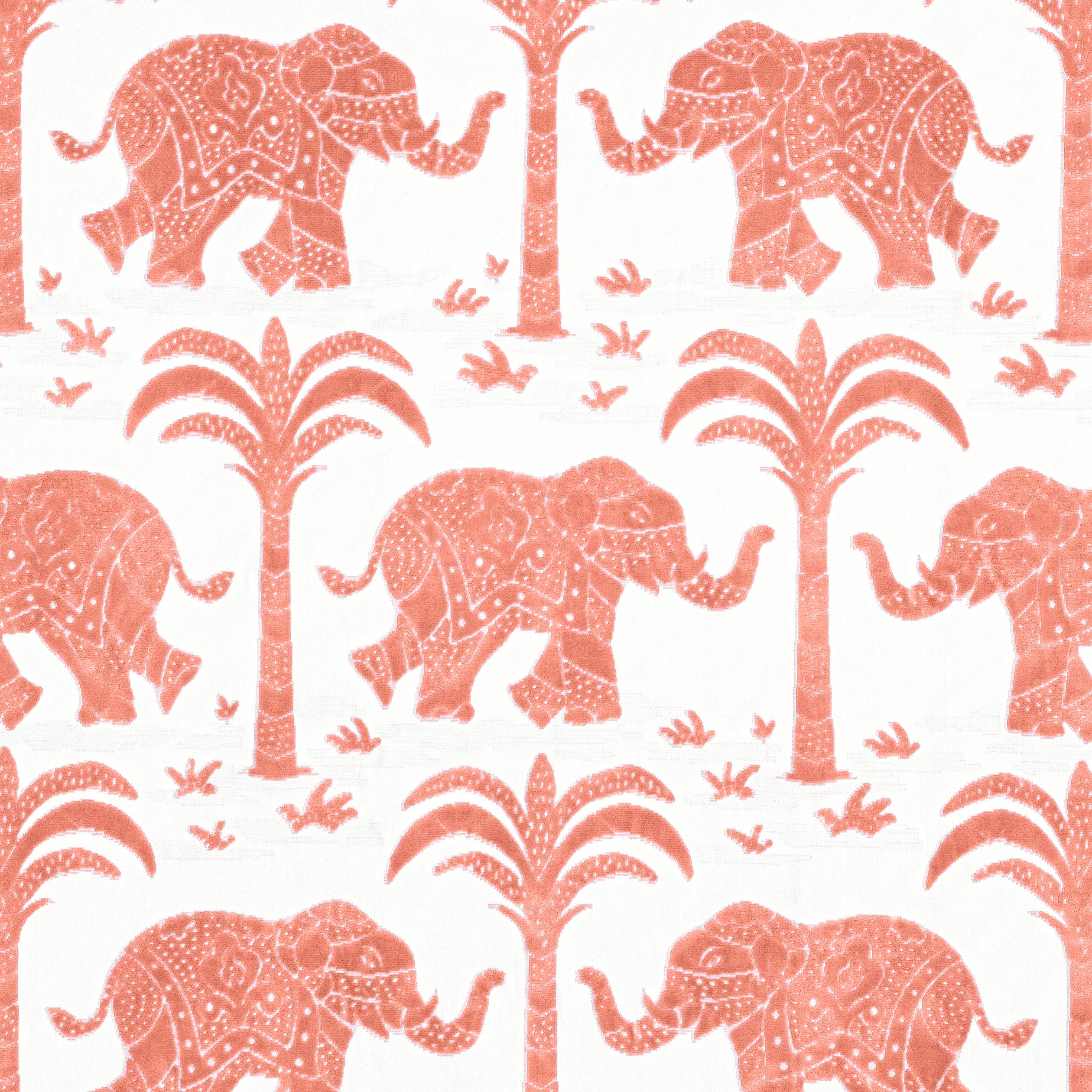 ELEPHANT VELVET - Coral