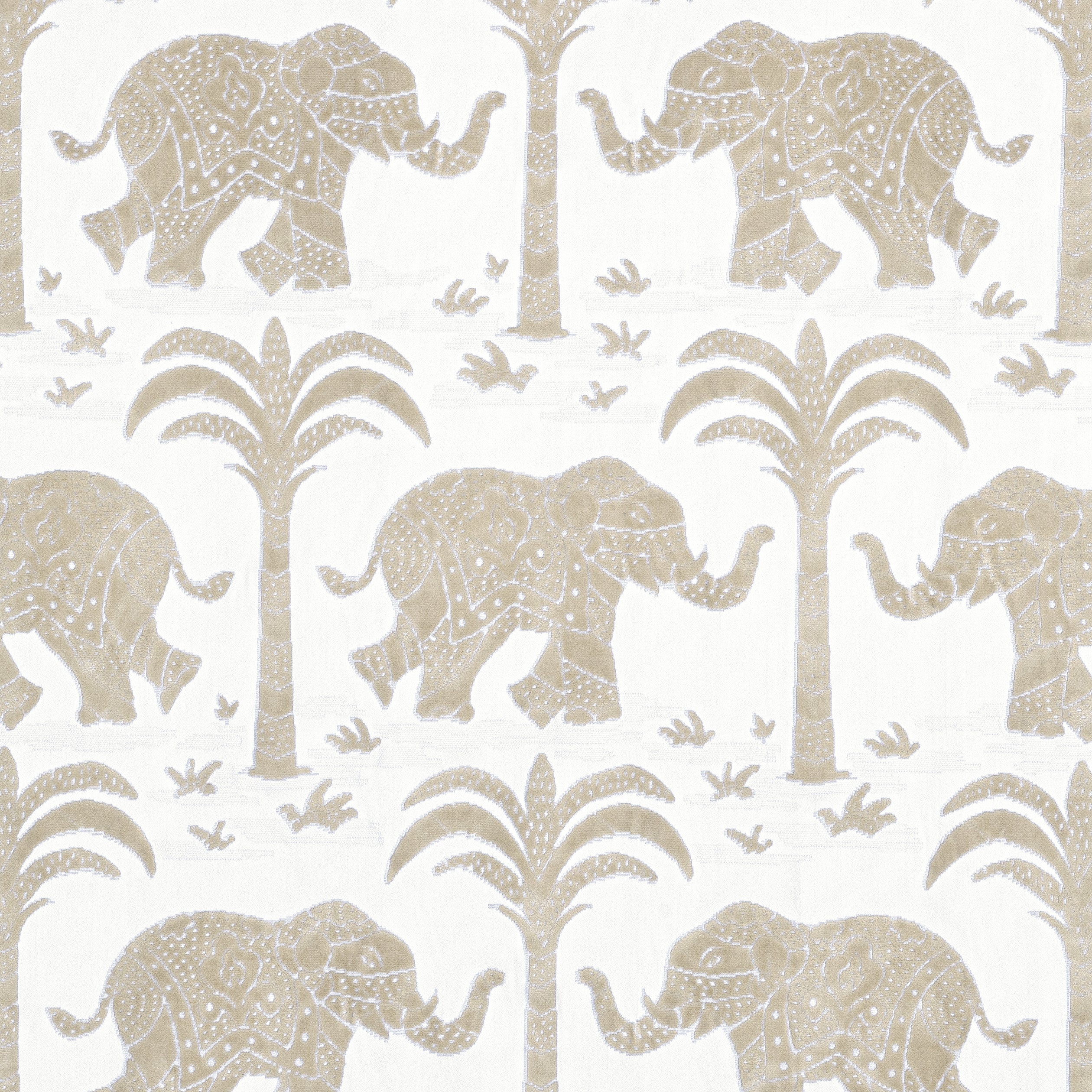 ELEPHANT VELVET - Beige