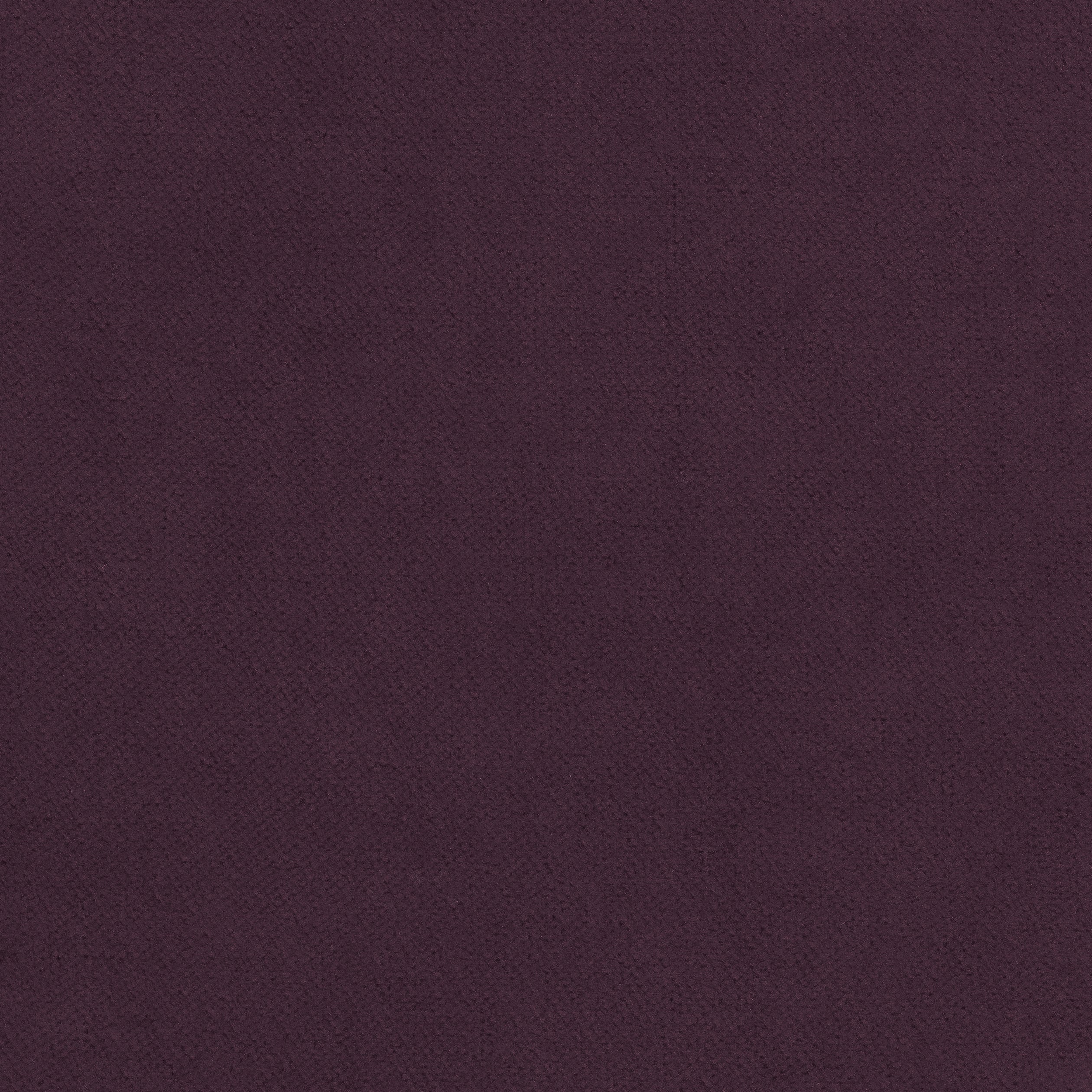 CLUB VELVET - Amethyst