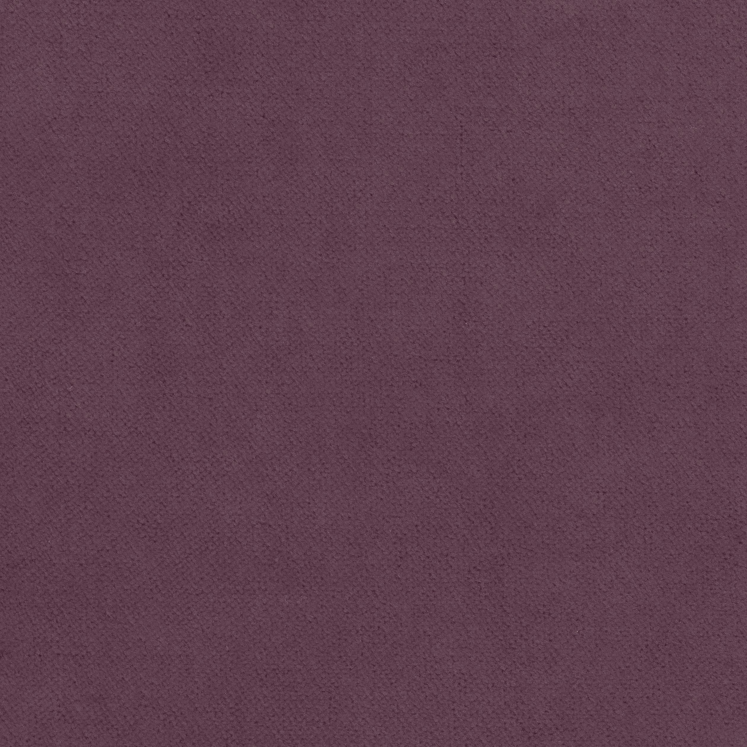 CLUB VELVET - Mulberry