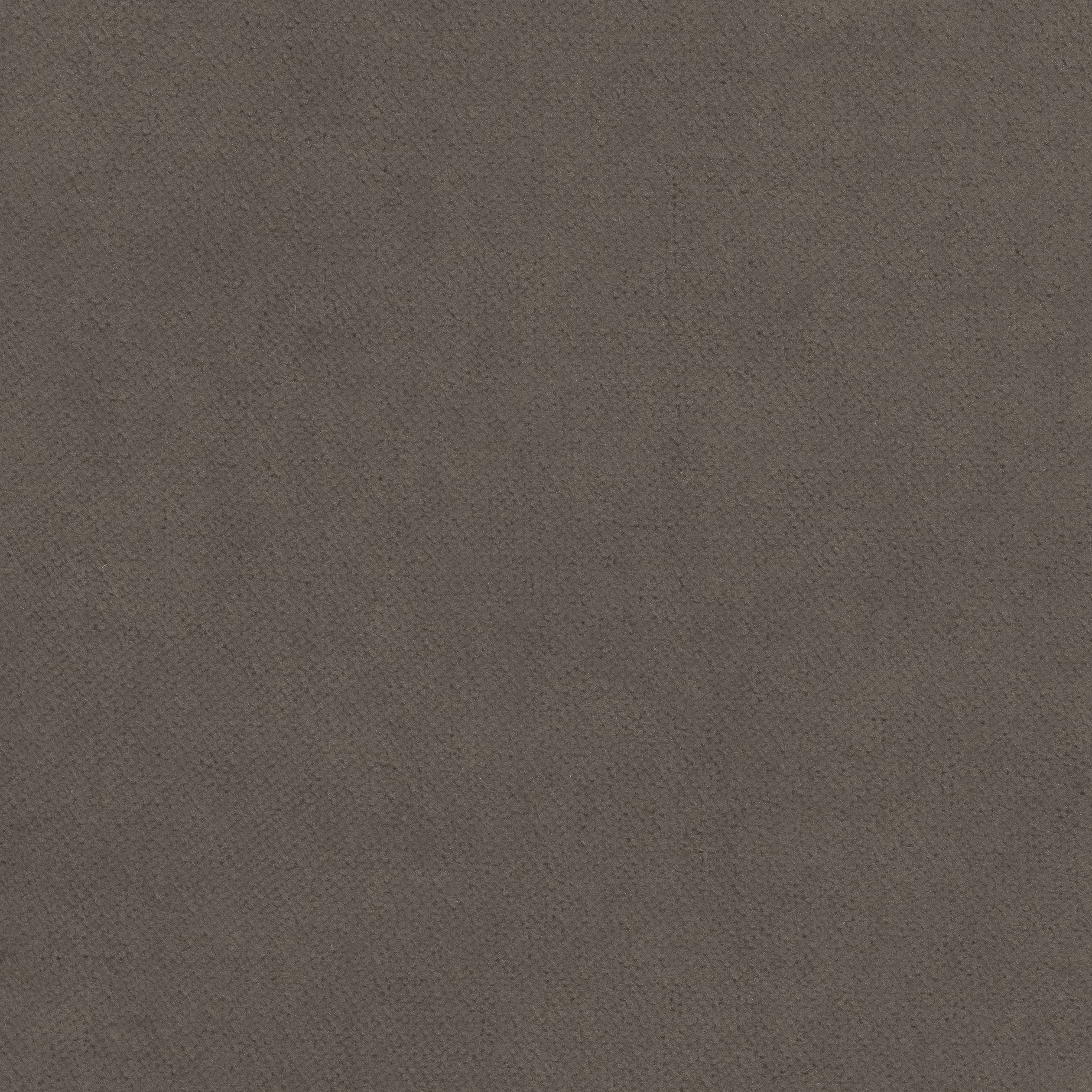 CLUB VELVET - Flannel