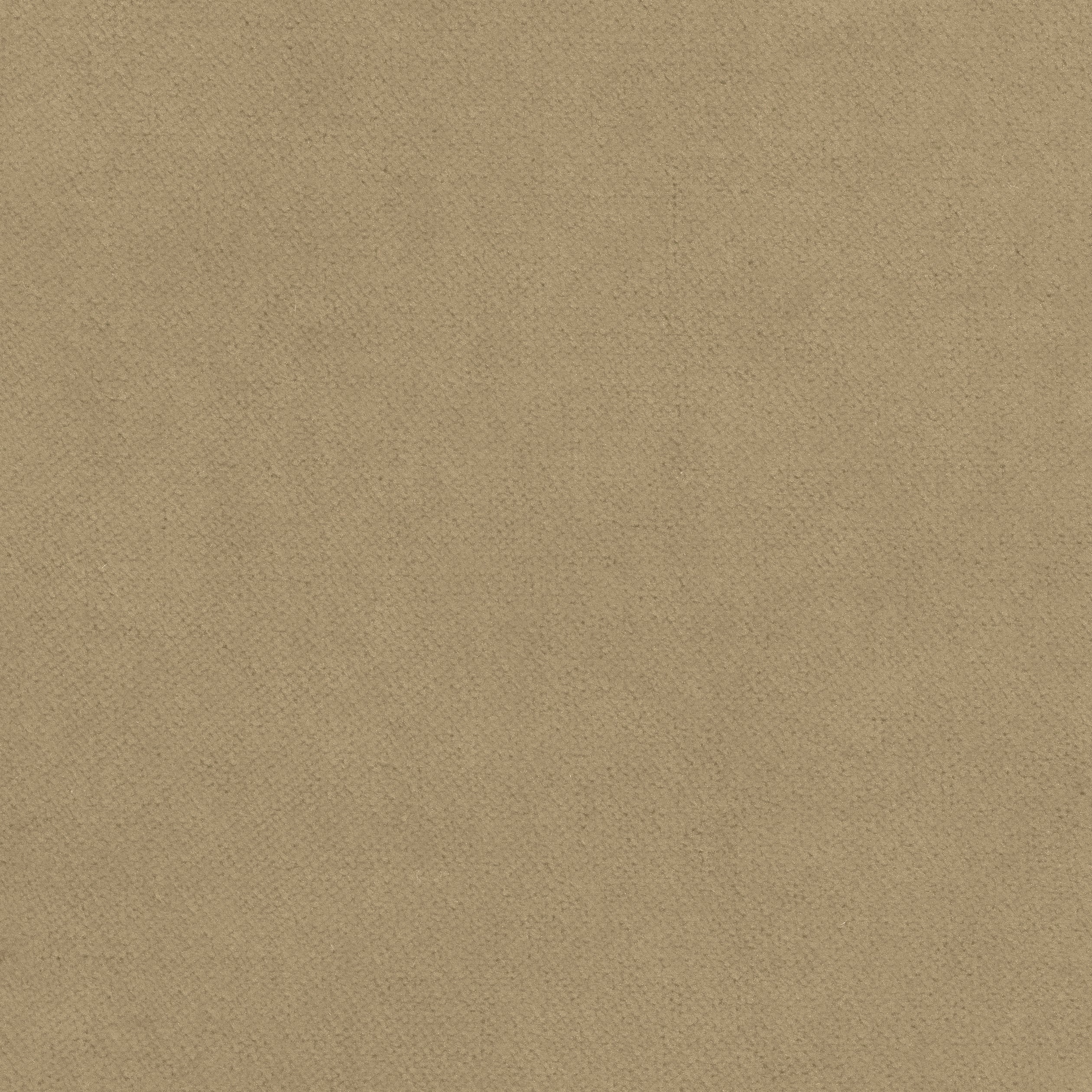 CLUB VELVET - Flax