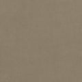 CLUB VELVET - Taupe