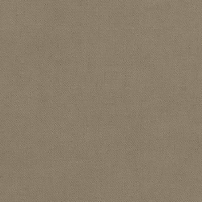 CLUB VELVET - Taupe