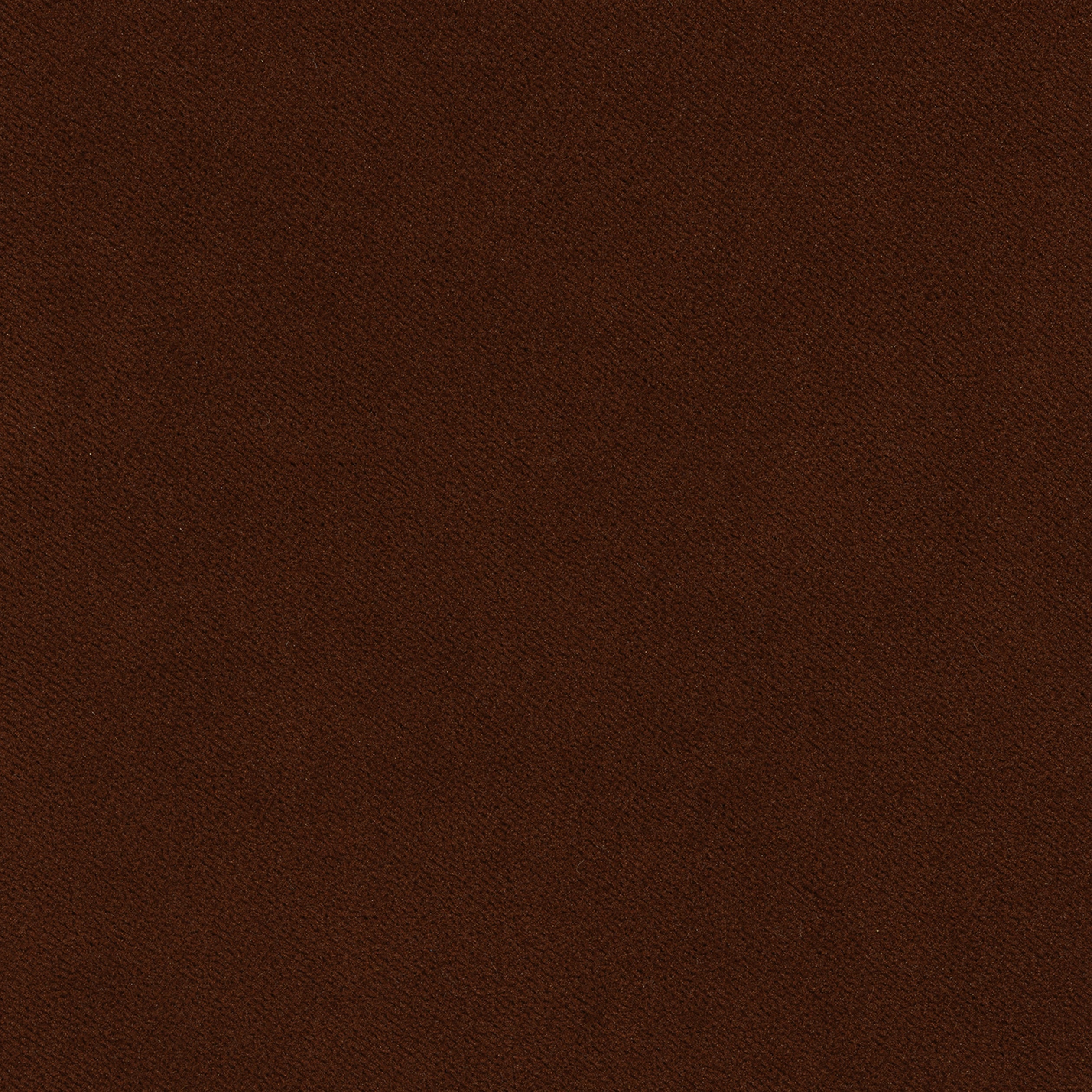 CLUB VELVET - Chocolate