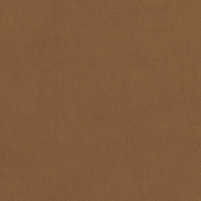CLUB VELVET - Camel
