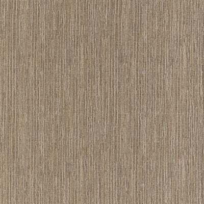 ZETA - Bark