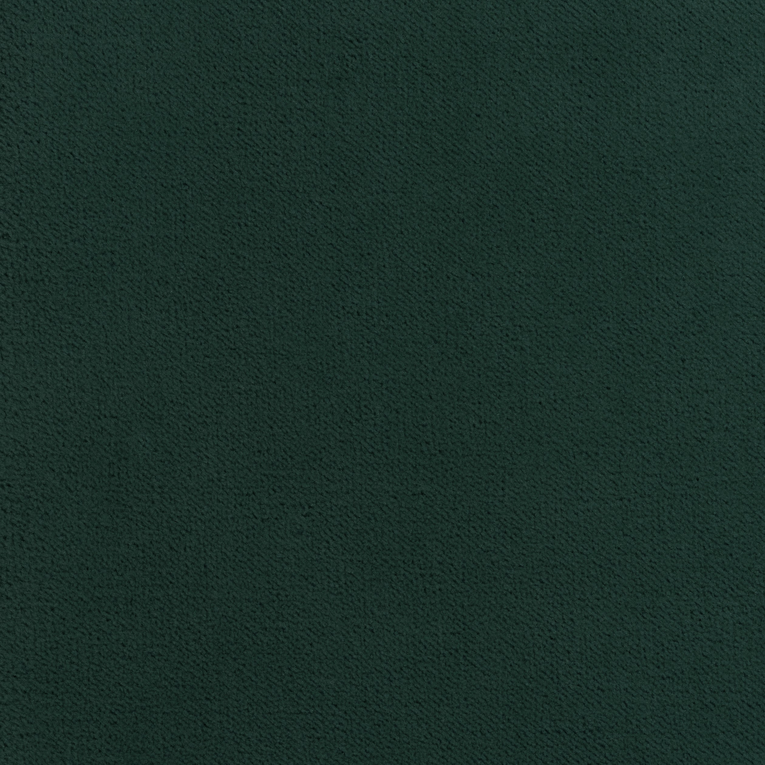 CLUB VELVET - Peacock
