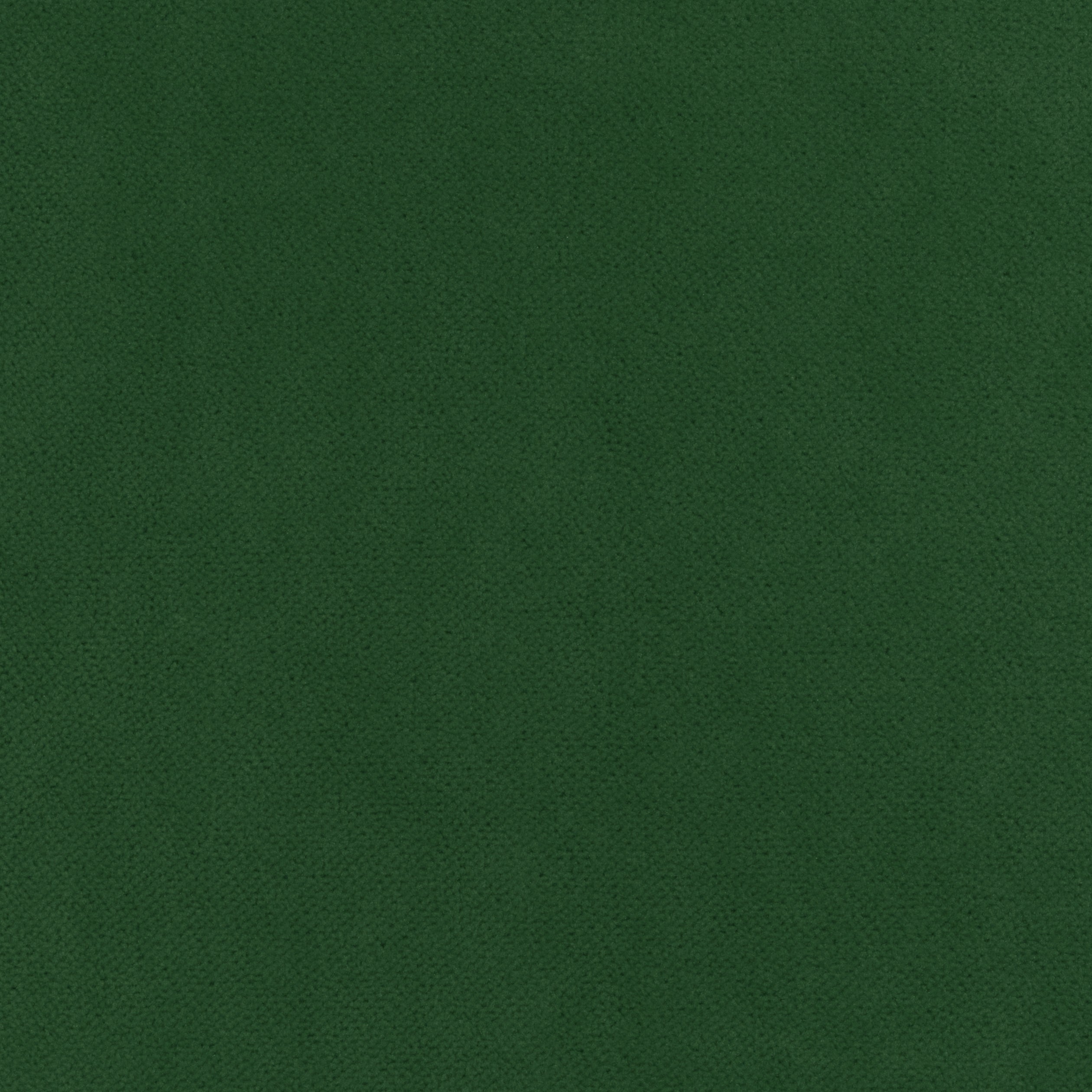 CLUB VELVET - Emerald