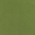 CLUB VELVET - Leaf