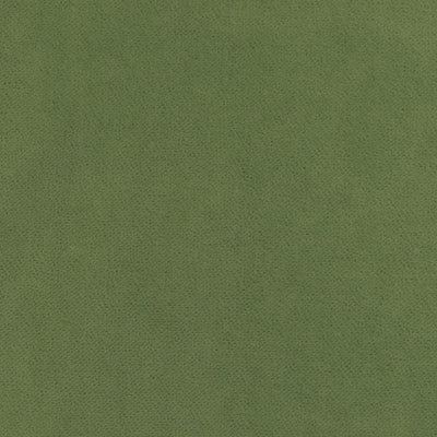 CLUB VELVET - Celadon
