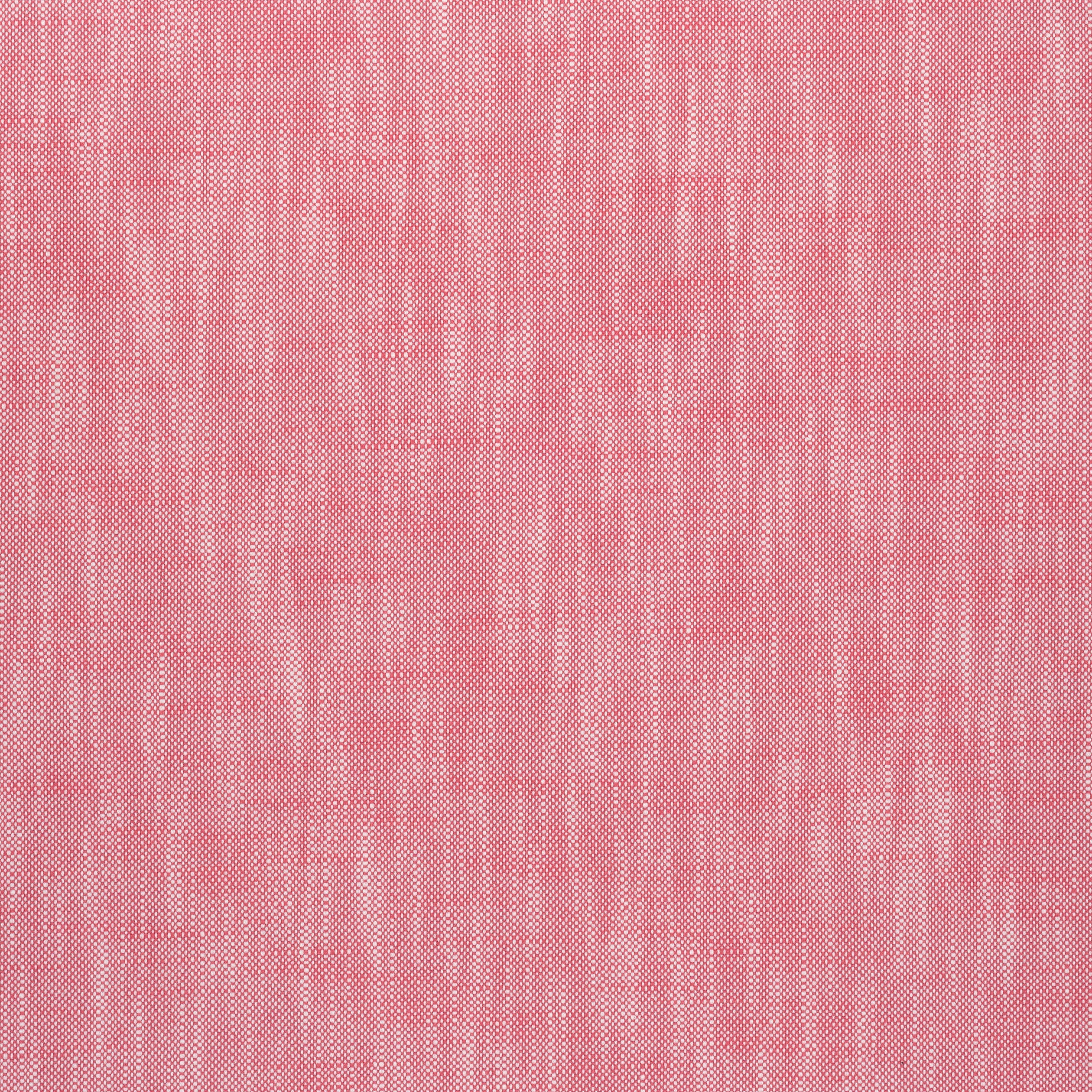 BRISTOL - Peony