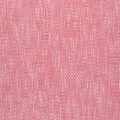 BRISTOL - Peony