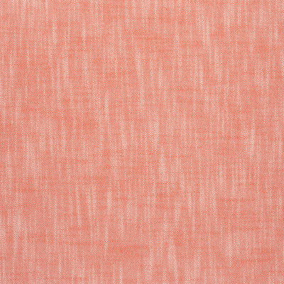 BRISTOL - Coral