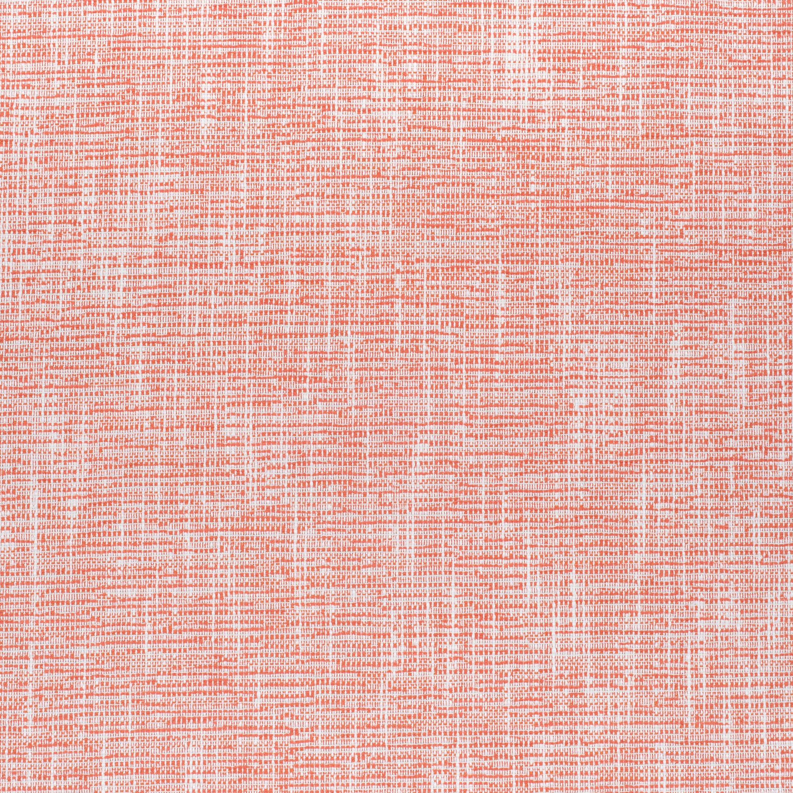 PIPER - Coral