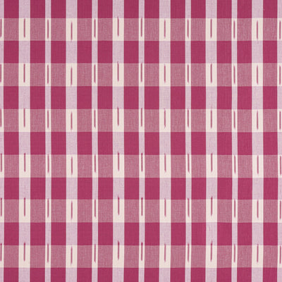 ELLASTONE CHECK - Raspberry