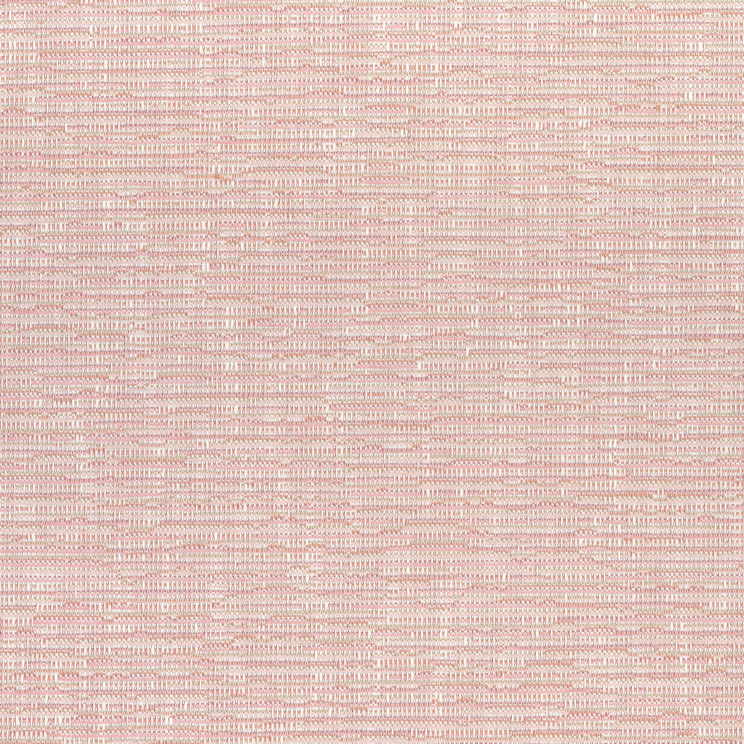CADENCE - Blush