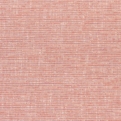 CADENCE - Coral