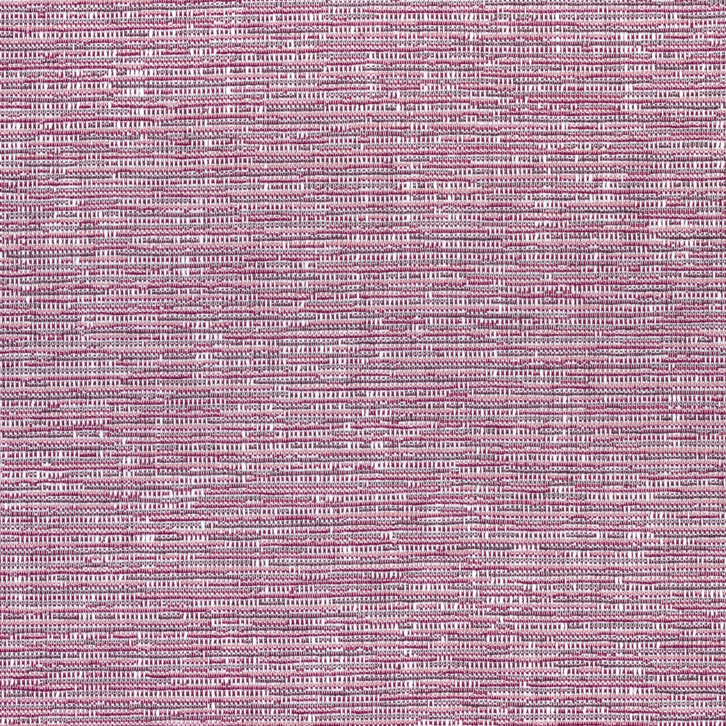 CADENCE - Fuchsia