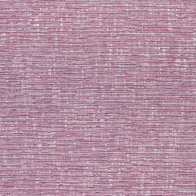 CADENCE - Fuchsia