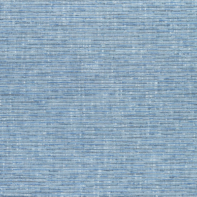 CADENCE - Blue