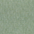 KINGSLEY - Grass