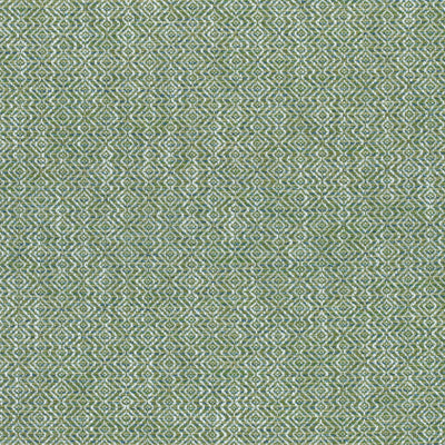 KINGSLEY - Grass