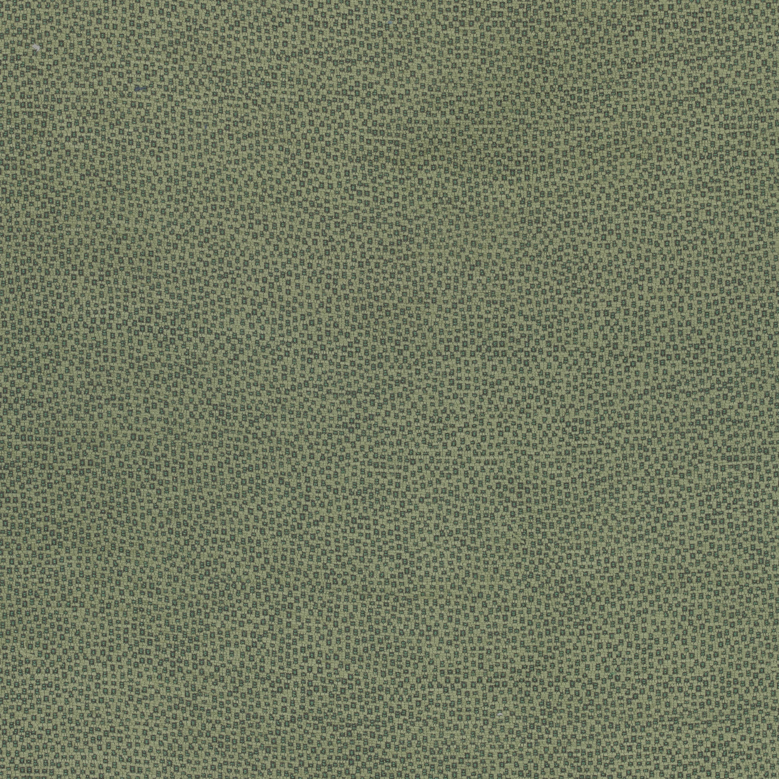 NALA - Emerald