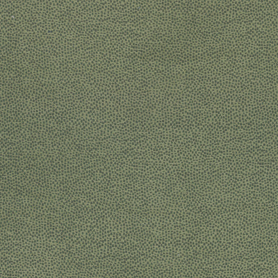 NALA - Emerald