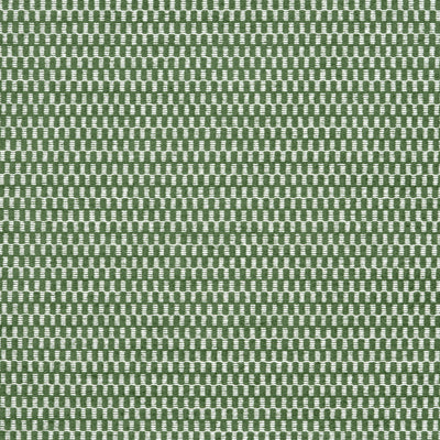 BLOCK TEXTURE - Ivy