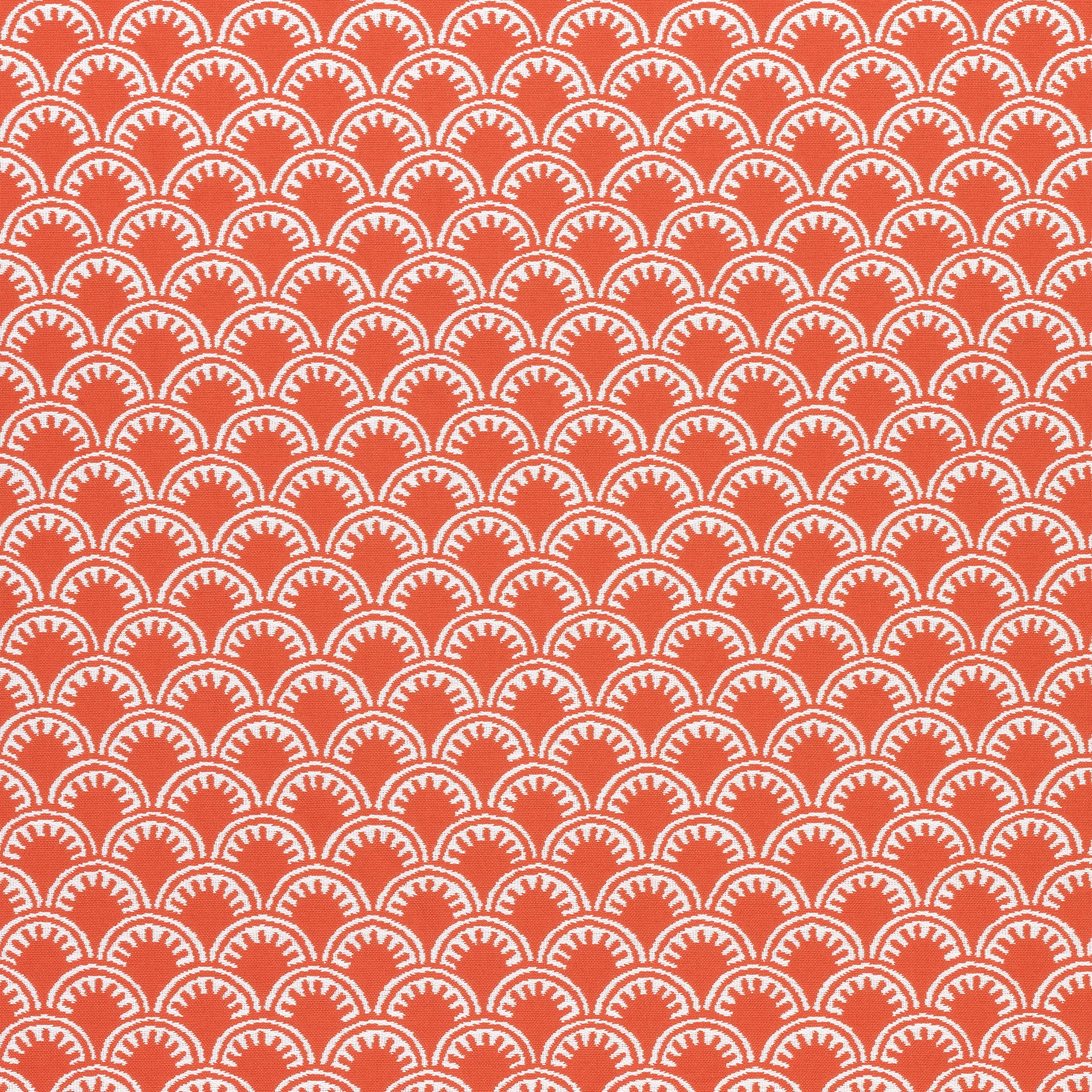 MAISIE - Coral