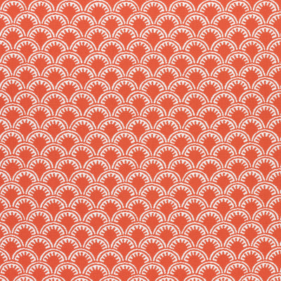MAISIE - Coral