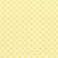 MAISIE - Sunshine