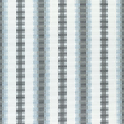 SAMBA STRIPE - Charcoal and Mineral