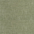 CASCADE - Ivy