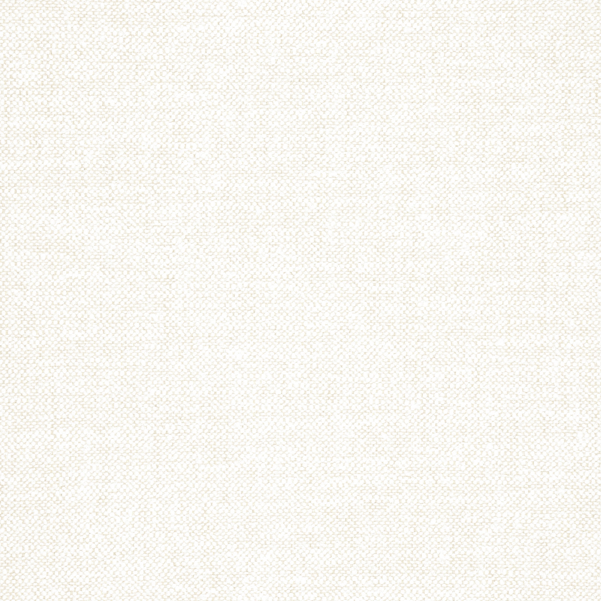 SASSO - Parchment