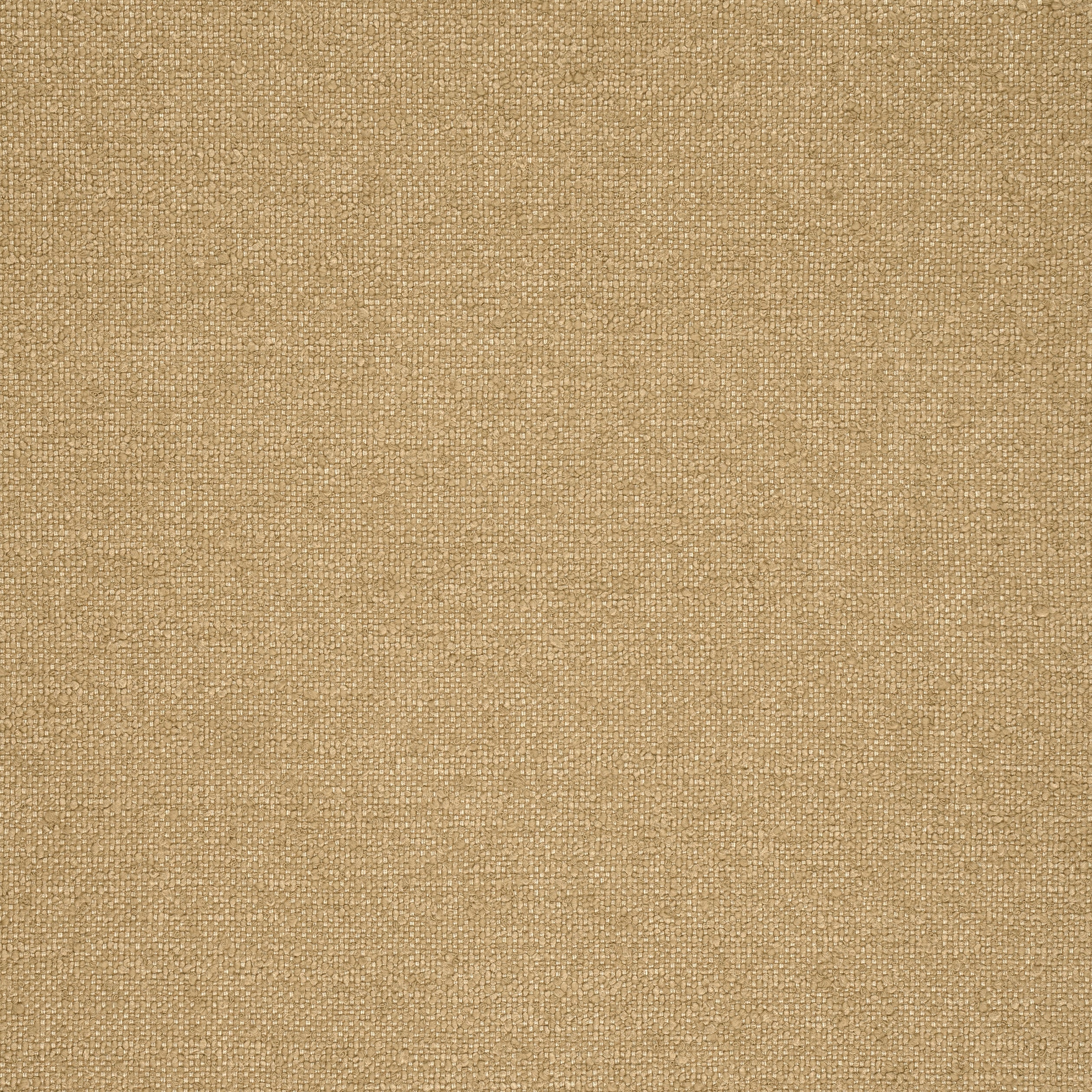 SASSO - Camel