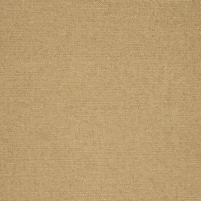 SASSO - Camel
