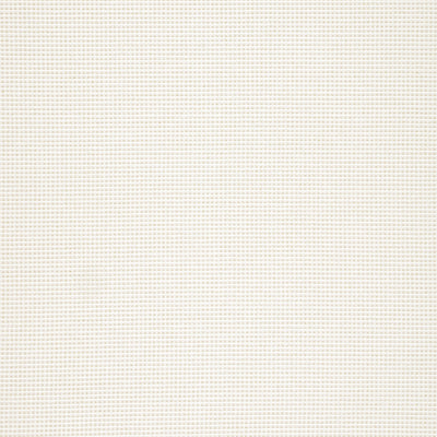 STELLA - Parchment