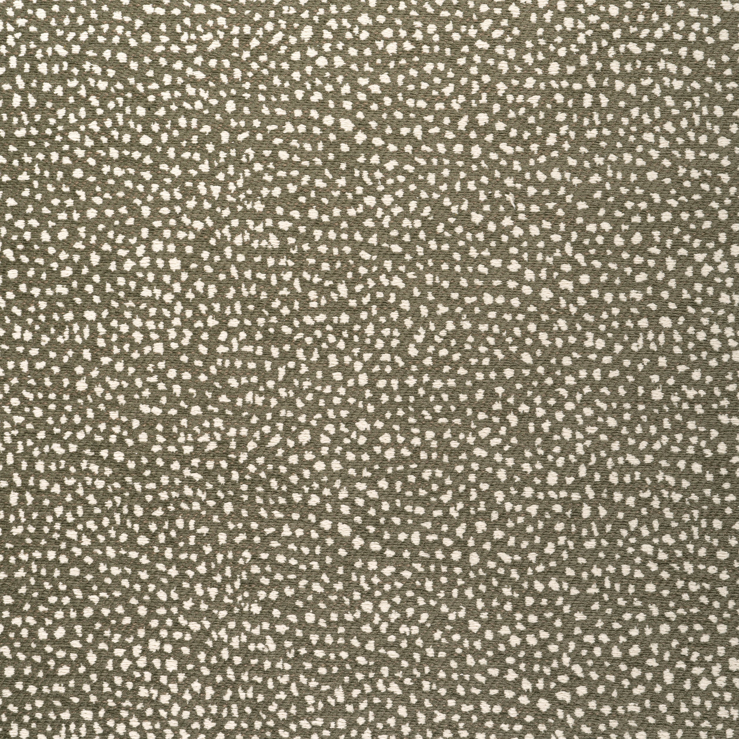 FAWN - Hickory