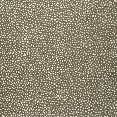 FAWN - Hickory