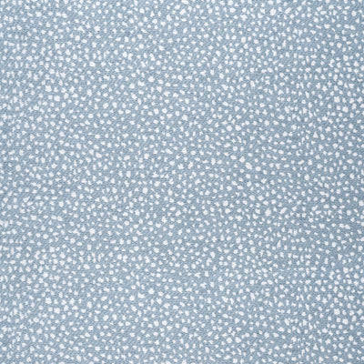 FAWN - Sky