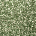 FAWN - Forest